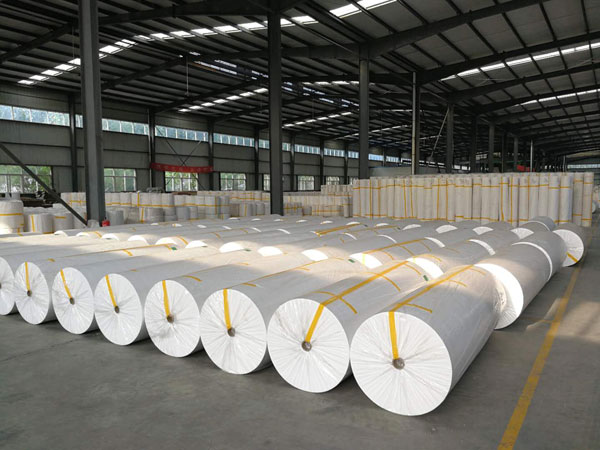 宁波狭缝式涤纶纺粘无纺布